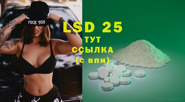 индика Волоколамск