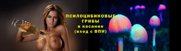 крисы Володарск