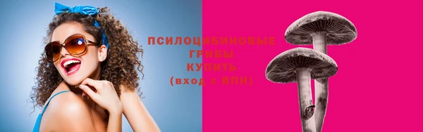 крисы Володарск