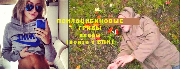 индика Волоколамск