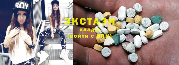 индика Волоколамск
