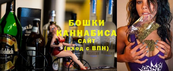 индика Волоколамск