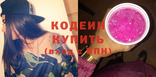 прущий лед Вяземский