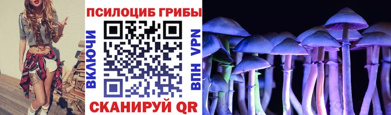 Псилоцибиновые грибы Cubensis  OMG зеркало  Искитим 
